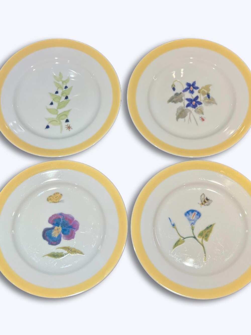 Williams-Sonoma Summer Studies Salad Plates Set 4 Yellow Rim Floral Insects 8"